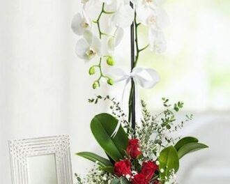 sultangazi gece açık çiçekçi – 05061251112