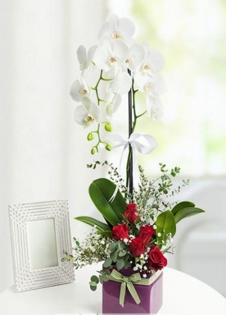 şişli açık nöbetçi çiçekçi