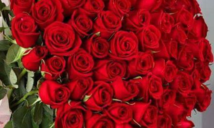 nişantaşı nöbetçi çiçekçi