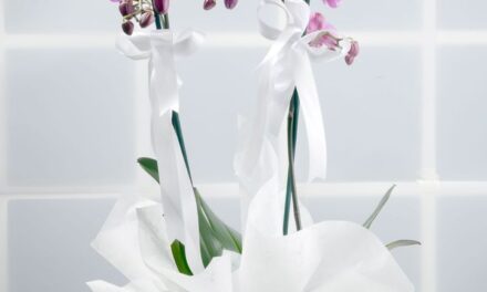 kemerburgaz nöbetçi çiçekçi