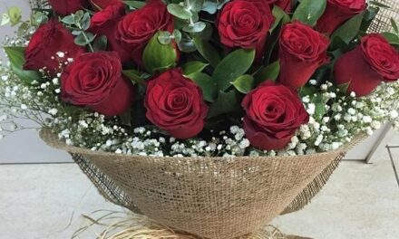 NÖBETÇİ ÇİÇEKÇİ SARIYER