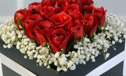 istanbul nöbetçi çiçekçi