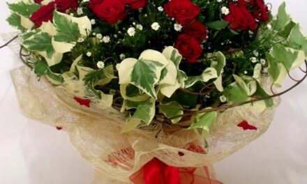 BAŞAKŞEHİR NÖBETÇİ ÇİÇEKÇİ